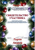Награды за елочку для печати.pdf-7.jpg