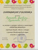сертификат участника - 0001 - 0011.jpg